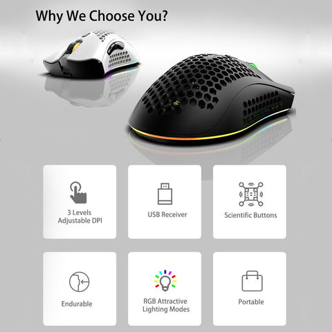 Optical RGB Illuminated Mouse with USB Receiver 3 Levels DPI