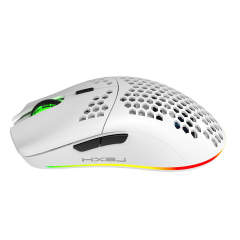 HXSJ T66 RGB 2.4G Wireless Gaming Mouse RGB Lighting Charging Mouse with Adjustable DPI Ergonomic Design for Desktop Laptop White