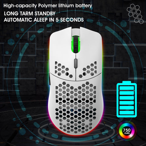 HXSJ T66 RGB 2.4G Wireless Gaming Mouse RGB Lighting Charging Mouse with Adjustable DPI Ergonomic Design for Desktop Laptop White