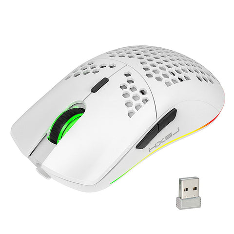 HXSJ T66 RGB 2.4G Wireless Gaming Mouse RGB Lighting Charging Mouse with Adjustable DPI Ergonomic Design for Desktop Laptop White