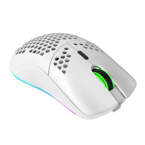 HXSJ T66 RGB 2.4G Wireless Gaming Mouse RGB Lighting Charging Mouse with Adjustable DPI Ergonomic Design for Desktop Laptop White
