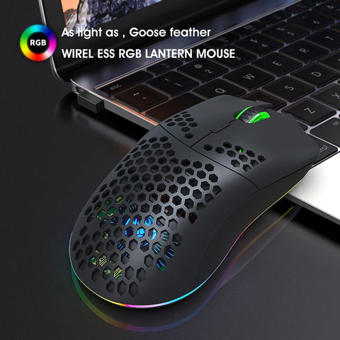 HXSJ T66 RGB 2.4G Wireless Gaming Mouse RGB Lighting Charging Mouse with Adjustable DPI Ergonomic Design for Desktop Laptop White