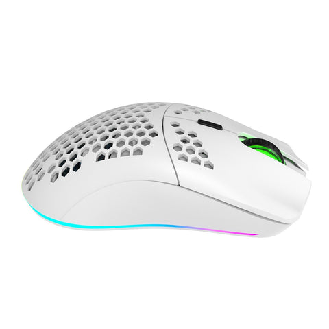 HXSJ T66 RGB 2.4G Wireless Gaming Mouse RGB Lighting Charging Mouse with Adjustable DPI Ergonomic Design for Desktop Laptop White