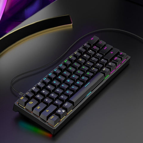 BAJEAL G101 61 Keys Wired Mechanical Keyboard RGB Backlight Keyboard PBT Two-color Injection Keycap Mechanical Blue Switch Black