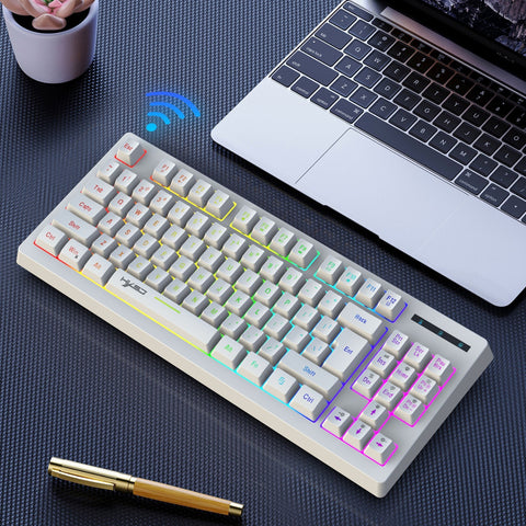 HXSJ L100 2.4G Wireless Membrane Keyboard 87 Keys Layout RGB Light Effect ABS Key Cap Built-in 1800mAh Lithium Battery White